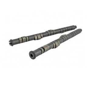 Cams SKUNK Stage 2 Tuner B16/ B18 305-05-0145